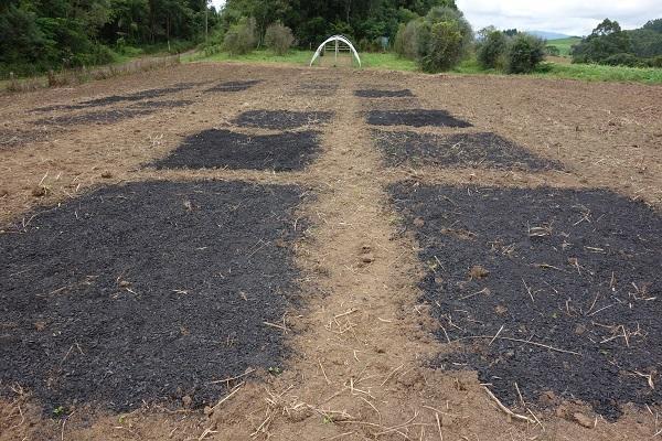Biocarvão é testado no Alto Vale