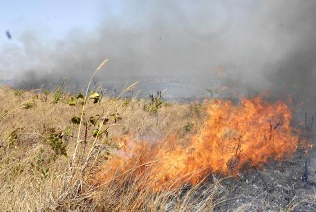 Bombeiro alerta para o perigo das queimadas  