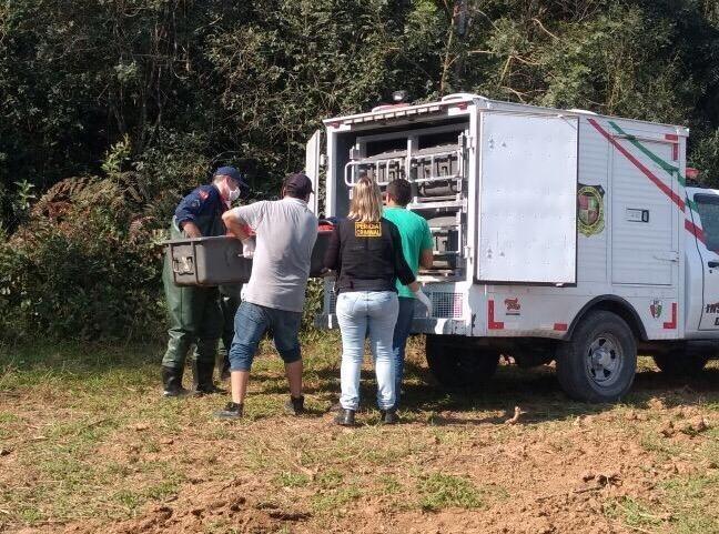 Briga familiar teria motivado crime, em Trombudo Central 