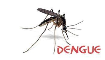 Campanhas de combate a dengue são lançadas em Imbuia
