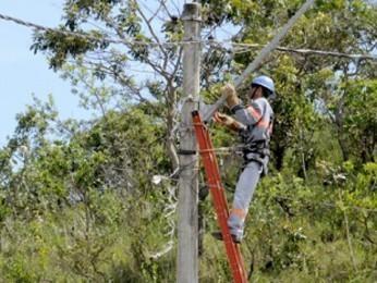 Celesc solicita apoio de agricultores para fazer limpeza da rede de energia na Região da Cebola  
