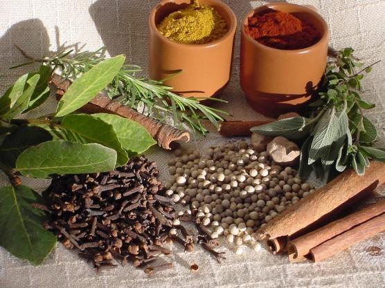 Curso sobre plantas medicinais será realizado no Alto Vale