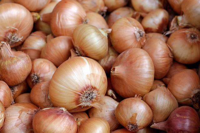 Dados apontam que restam cerca de 40% da safra de cebola 2017/2018 para ser comercializada em Santa Catarina