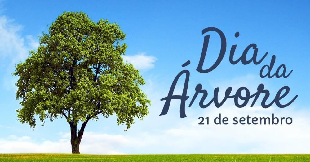 Dia da Arvore é comemorado com distribuição de mudas nativas em Ituporanga