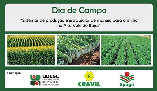 Dia de Campo apresentará combinações de sistemas de plantio 