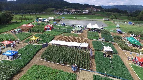 Dia de Campo Cravil vai apresentar possibilidades de produção eficiente e sustentável