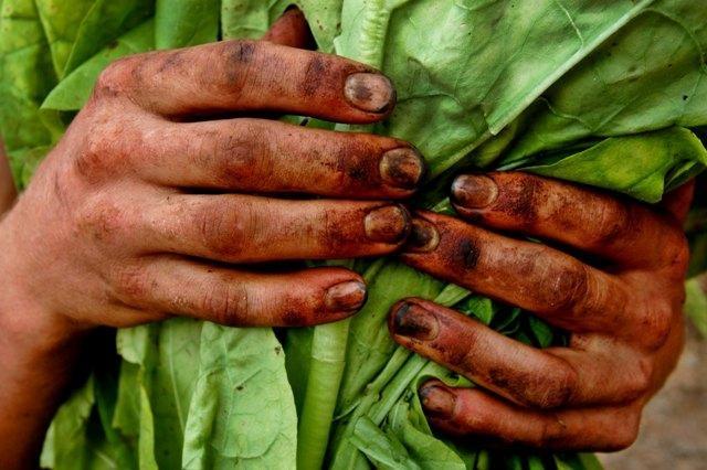 Empresas não aceitam proposta e não assinam protocolo de aumento de preço do tabaco