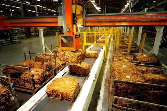 Entidades e empresas fumageiras deixam para janeiro negociações para definir reajuste de preço para o fumo