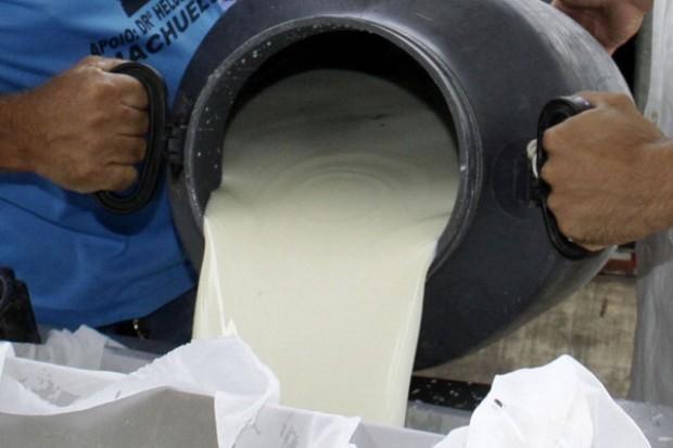 Epagri realiza conversa com produtores de leite em Ituporanga para buscar mais qualidade ao produto