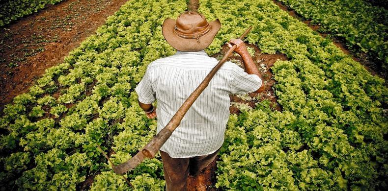Federações no Sul do País iniciam mobilizações em defesa dos agricultores