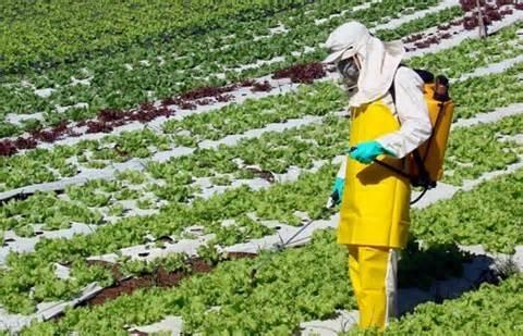 Fetaesc vai promover seminários para orientar agricultores sobre uso de agrotóxicos nas propriedades