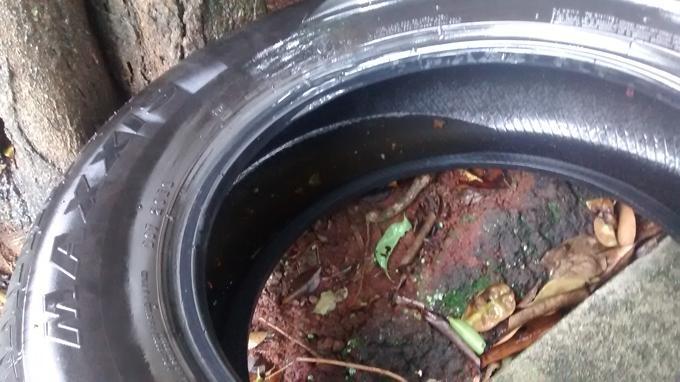 Foco do Aedes Aegypti é encontrado e combatido em Ituporanga