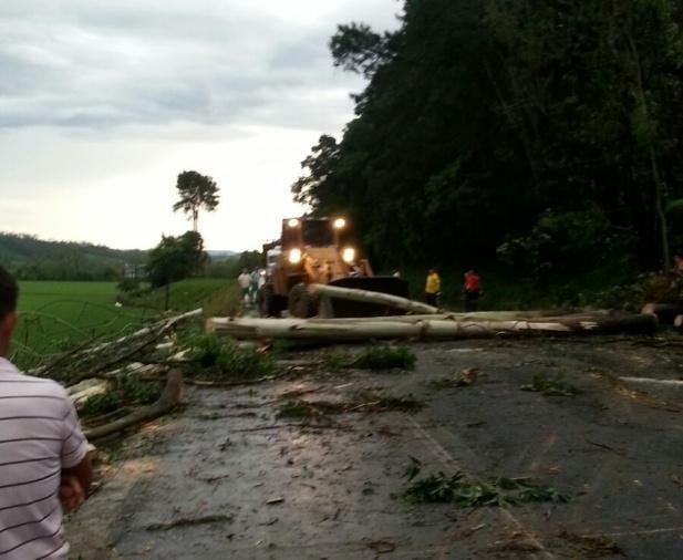 Temporal causa estragos no Vale do Itajaí e deixa 14 cidades sem energia