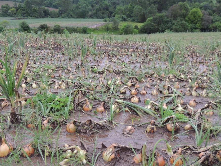 Fortes chuvas deixam R$ 94 milhões de prejuízos em Ituporanga 