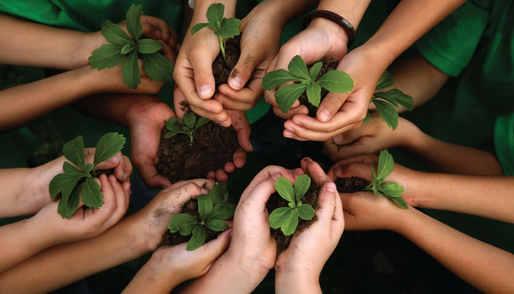 Grupo Consciência Ambiental mantém ações em prol da proteção do Meio Ambiente em Ituporanga