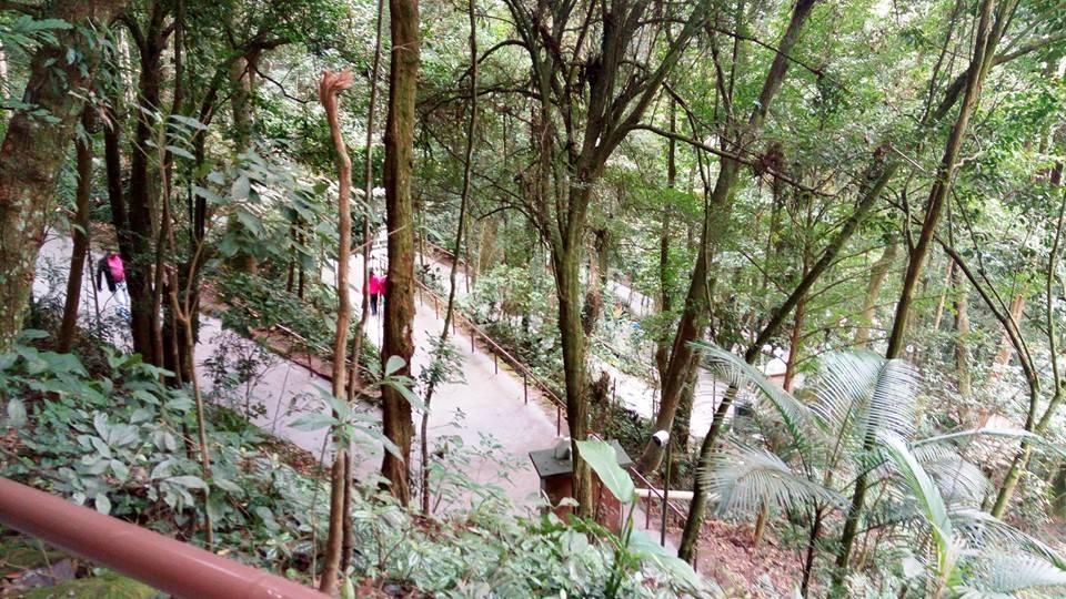 Gruta Nossa Senhora de Lourdes de Ituporanga está preparada para receber visitantes