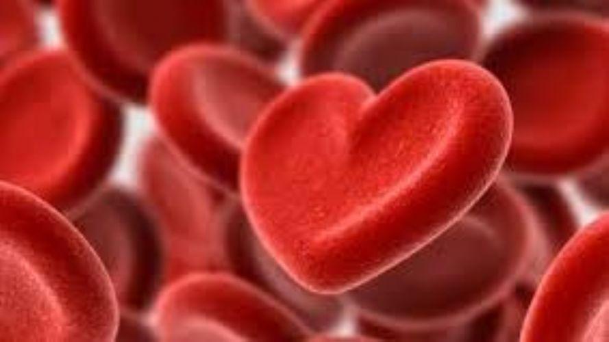 Hemosc faz cadastro de medula óssea em Rio do Sul