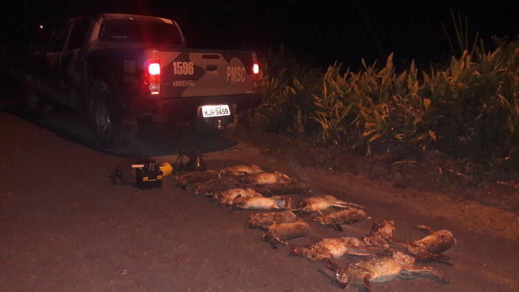 Homem é preso por caça ilegal em Agrolândia