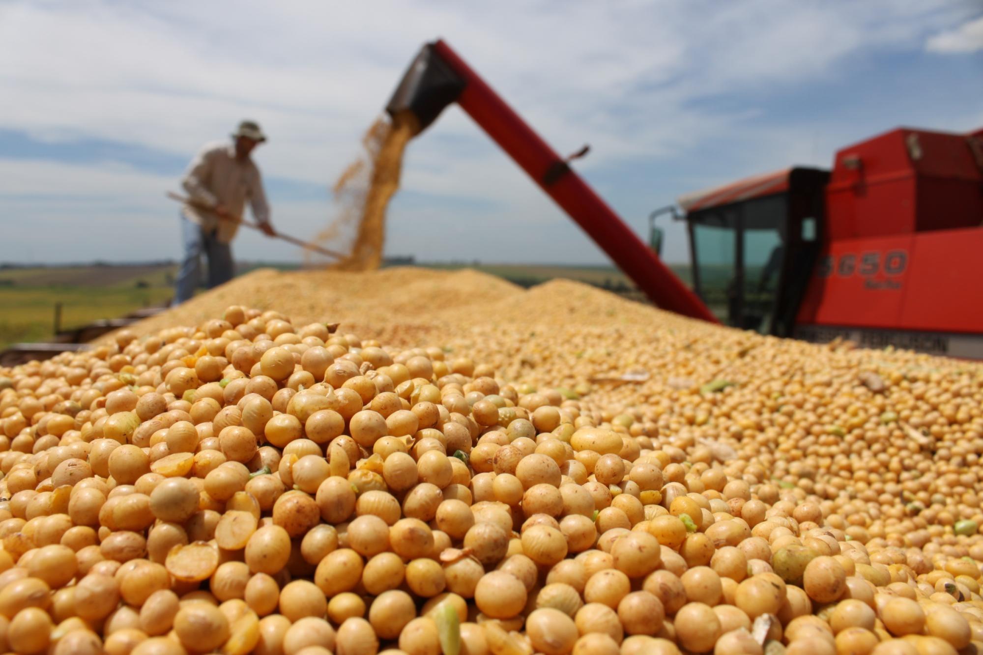 ICMS arrecadado com venda ou compra de produtos agrícolas pode ser revertido em crédito para os agricultores