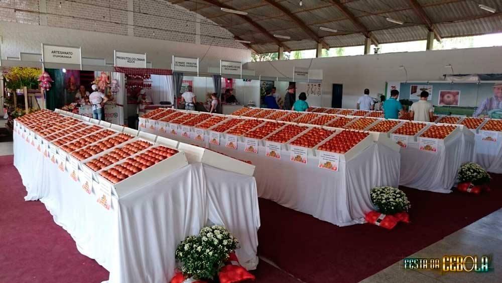 Importação de cebola foi tema de palestra durante Seminário da Agricultura Familiar