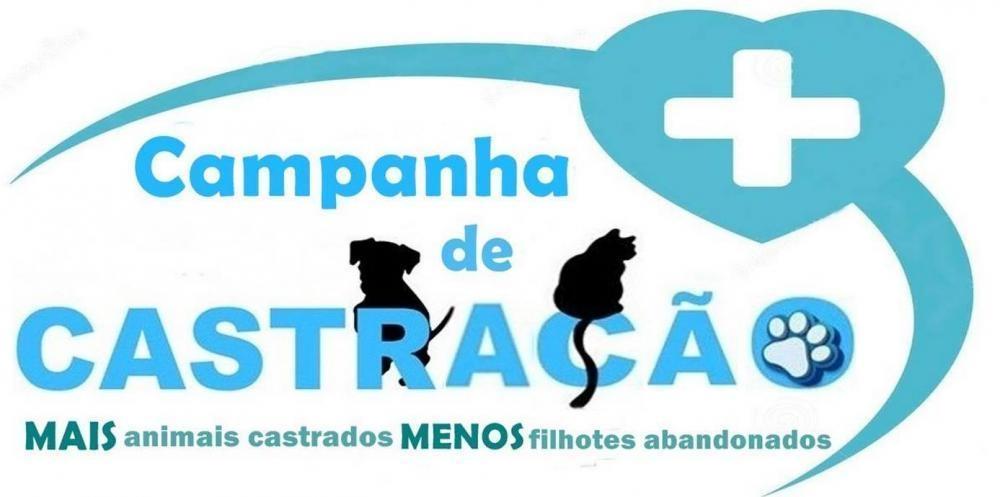 Mais de 100 animais foram castrados durante mutirão realizado em Ituporanga