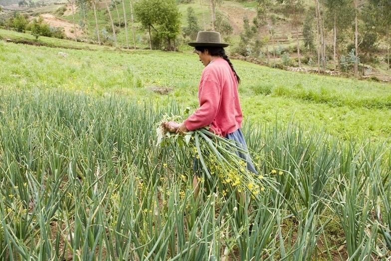 Mulheres agricultoras se reúnem nesta quinta-feira em Ituporanga