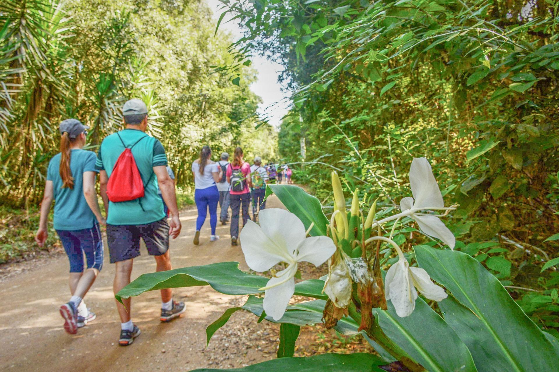 ONG Mãe D’água organiza caminhada ecológica em Ituporanga