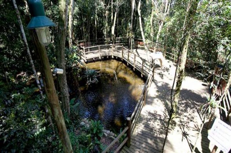 Parque Ingo Altenburg pode ser transformado em Unidade de Conservação Ambiental