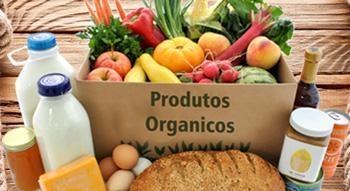 Pela primeira vez a FERSUL irá contar com um espaço voltado a produtos coloniais e orgânicos