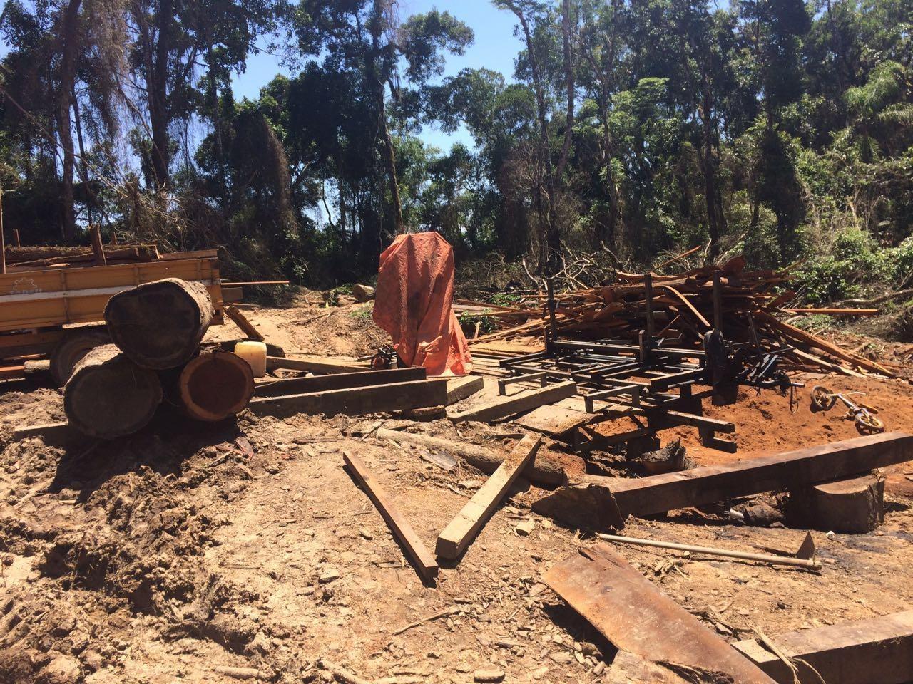 Policia Ambiental apreende mais de 100 metros cúbicos de madeira nativa em Santa Terezinha.