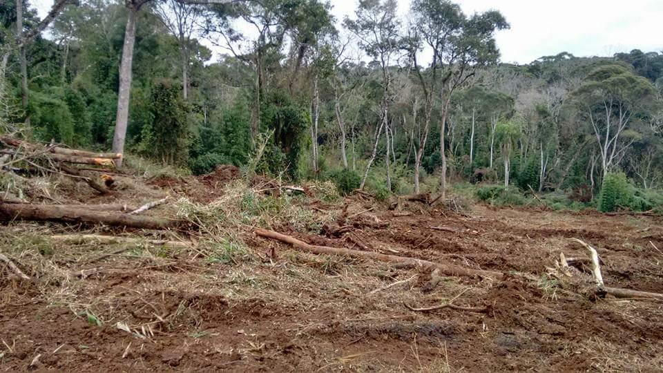 Polícia Militar Ambiental do Alto Vale passa a contar com a tecnologia para ampliar as fiscalizações