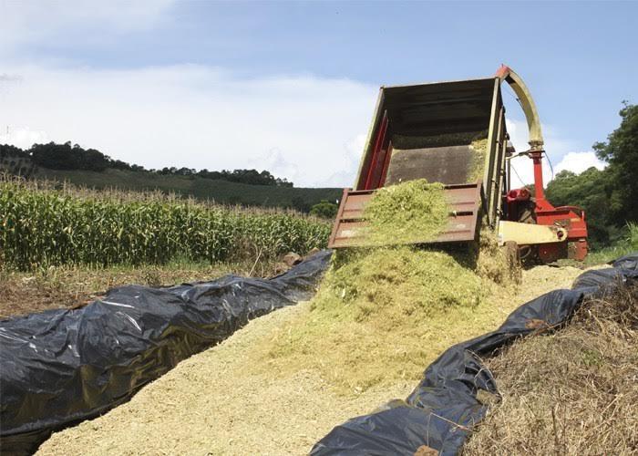 Prefeitura de Vidal Ramos auxilia agricultores na produção de silagem 