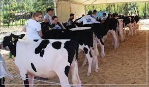 Presidente Getúlio promove neste final de semana a 21ª Expofeira Estadual do Leite