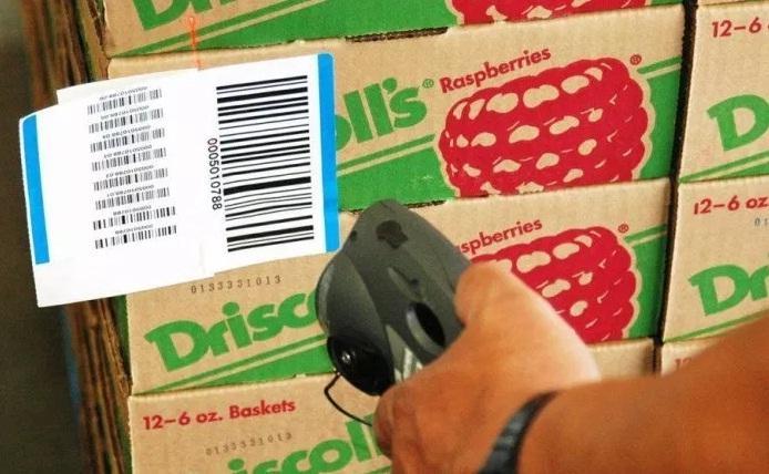 Rastreabilidade para comercialização de produtos vegetais é tema de palestra em Ituporanga