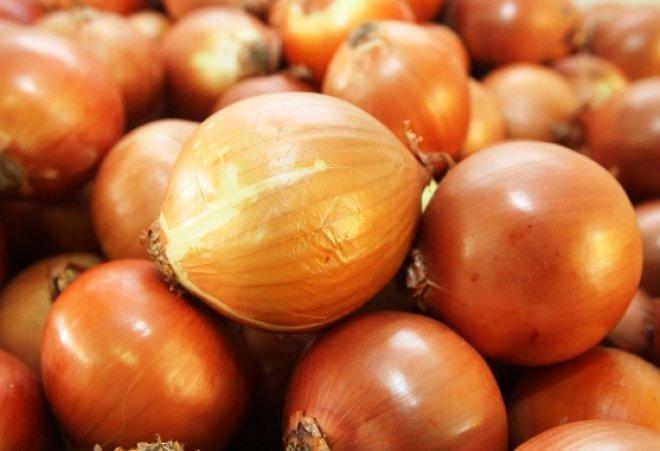Representantes da região se reúnem com entidades do agronegócio para debater a crise da cebola em Santa Catarina