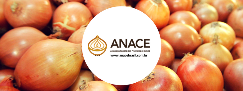 Reunião em Ituporanga vai tratar o fortalecimento da Associação Nacional da Cebola