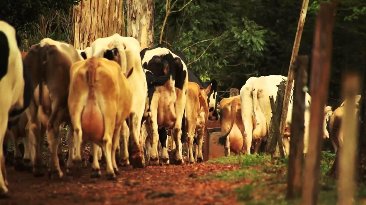 Sindicato Rural de Ituporanga abre inscrições para o curso de empreendedor rural