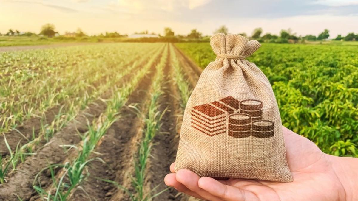 Novas regras do Proagro e Seguro Rural geram controvérsias no setor