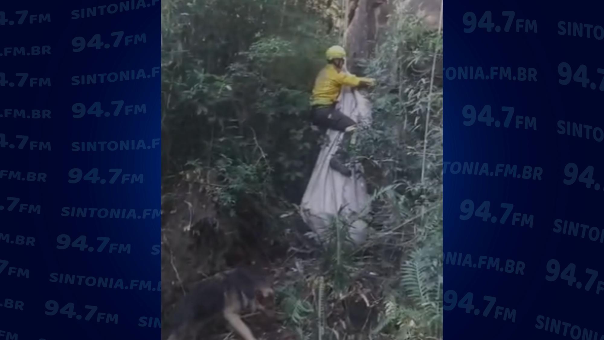 Novilha cai em ribanceira e mobiliza Bombeiros em Ituporanga