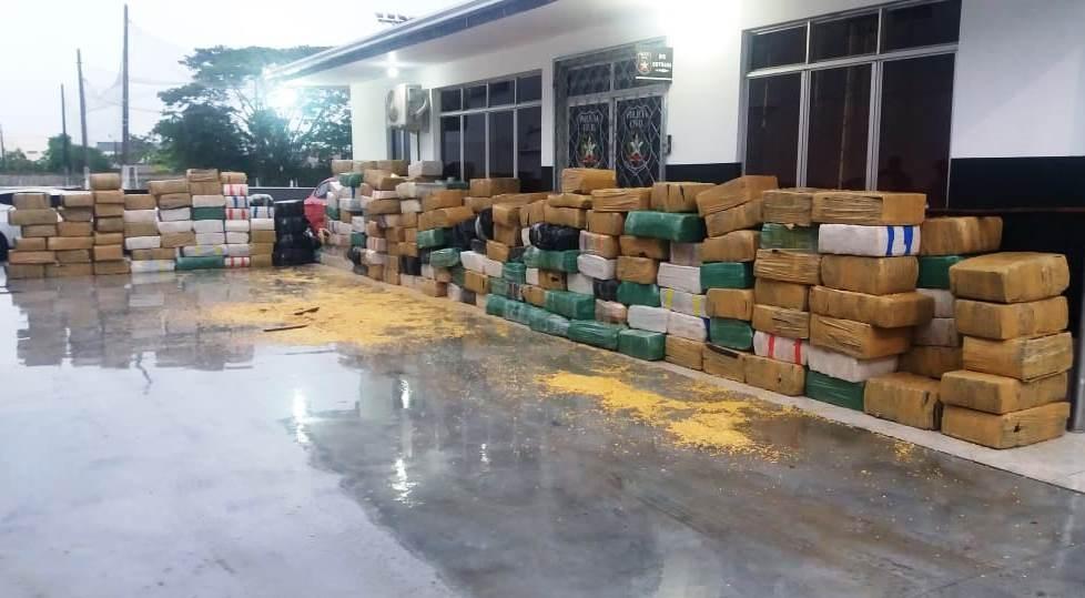 Operação conjunta em Itajaí resulta na maior apreensão de maconha da história de SC