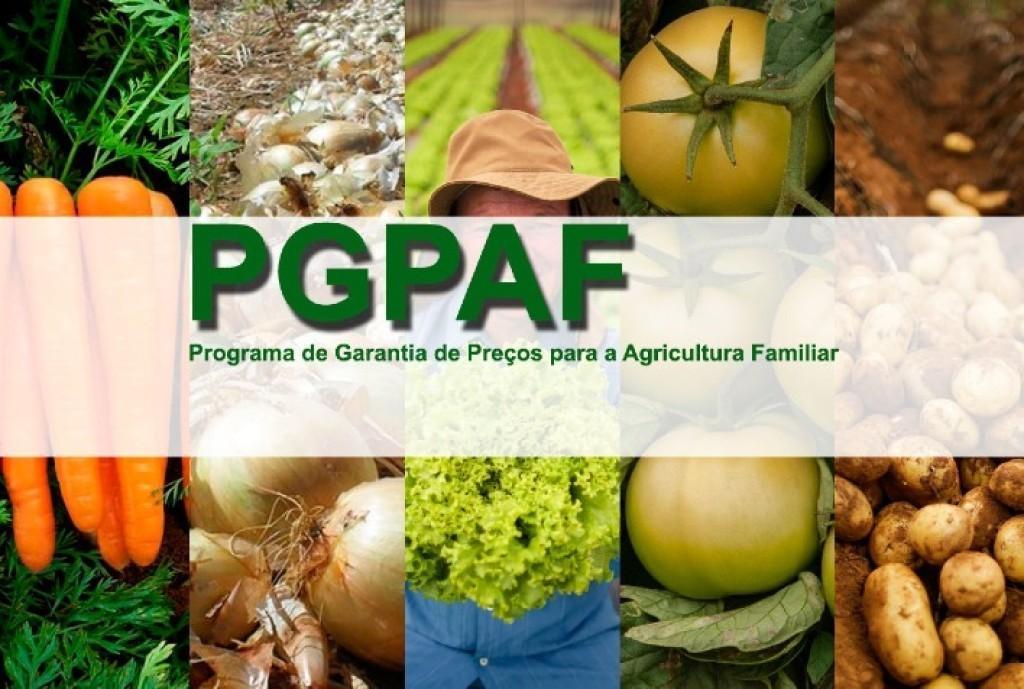 PGPAF divulga novos bônus em SC; cebola fica fora da lista em abril