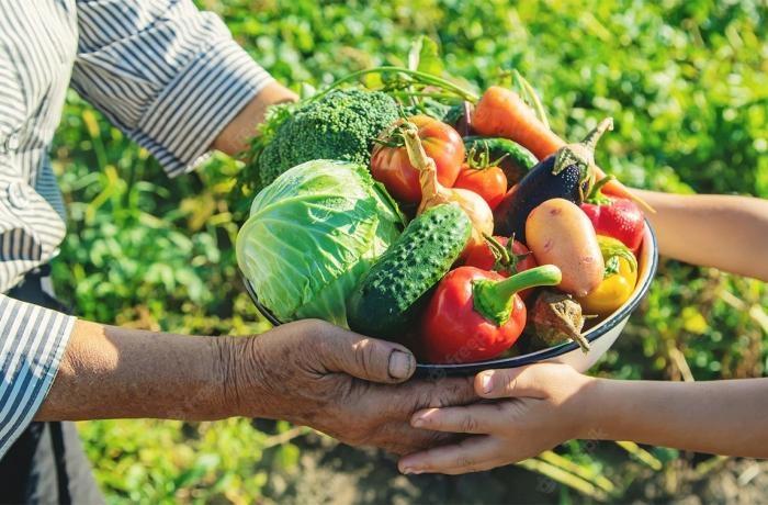 Plataforma do Desenrola renegociará dívidas de agricultores familiares
