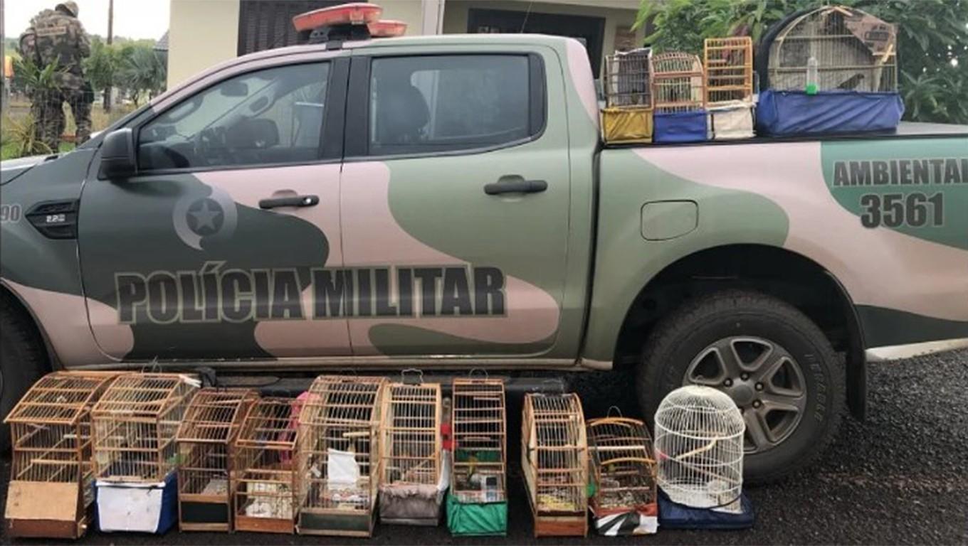 Polícia Ambiental apreende aves silvestres e investiga lesão corporal em Petrolândia