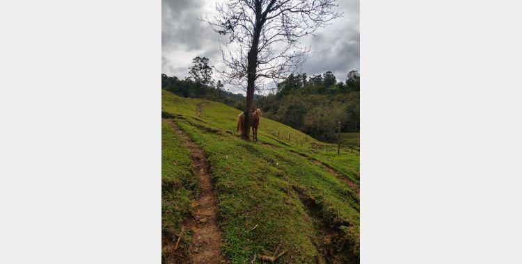 Policial Militar  socorre homem que caiu de cavalo em Ituporanga