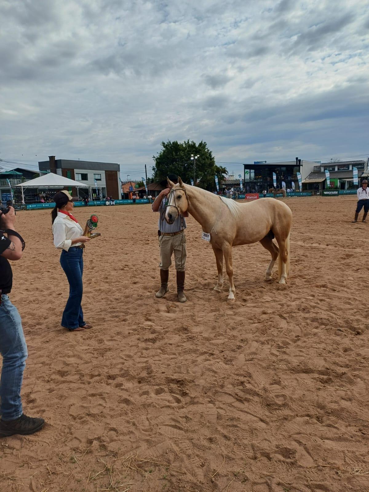 Potro de Alfredo Wagner conquista título na categoria Cavalo Campeiro na Expointer no Rio Grande do Sul