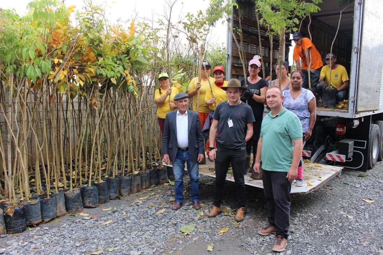 Prefeitura de Ituporanga vai plantar 5 mil mudas de árvores pela cidade