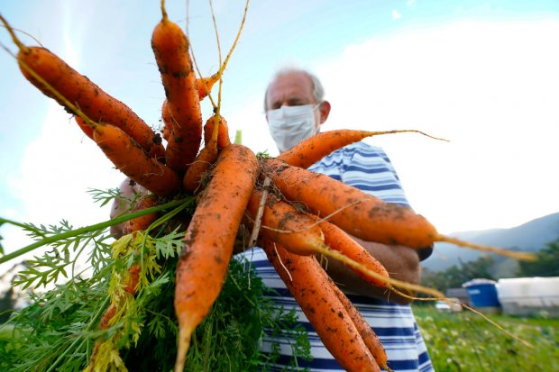 Produção orgânica e agroecologia