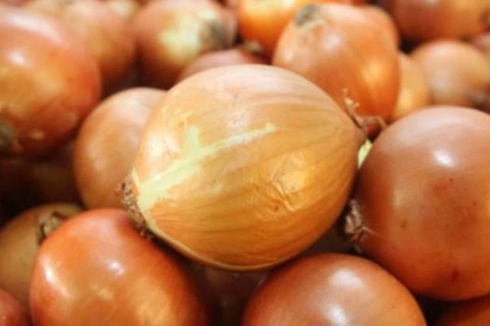 Produtores de cebola da região iniciam comercialização como boas expectativas