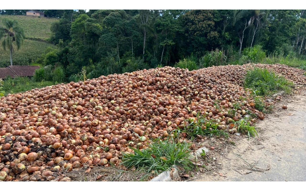 Produtores de cebola farão manifestação em Ituporanga nesta quinta-feira (26)