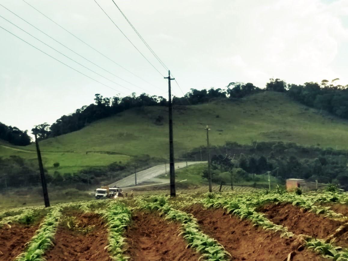 Programa Celesc Rural conclui substituição de 200 quilômetros de cabos protegidos na região de Ituporanga 